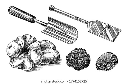 Truffles mushrooms. Engraved hand drawn vintage sketch. Instruments and Ingredients for cooking food. Woodcut style. Vector illustration.