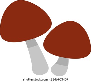 Truflle mushroom, illustration, vector on a white background.