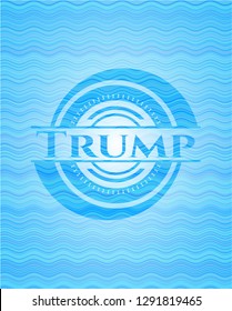 Trump sky blue water badge.