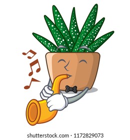 With trumpet cartoon zebra cactus blooming in garden