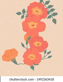 Trumpet creepers vector image,
Oriental-style