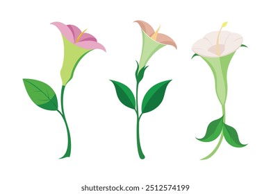 "Angel's Trumpet flor vetor arte ilustração" é um gráfico digital de alta qualidade que mostra a beleza elegante e intrincada da flor do trompete do anjo em um formato vetorial versátil.