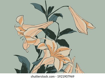 Trumpet Lilies, drawing after 19th century Japanese woodblock print vector illustration