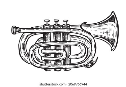 Trumpet, musical instruments, hand drawn illustration. Vector.