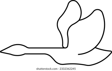 trumpeter swan swan goose duck elegant Outline