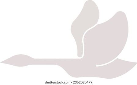 trumpeter swan swan goose duck elegant