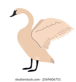 Trumpeter swan icon clipart avatar logotype isolated illustration