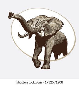 Trumpeting elephant in four colors monochrome on a white background 