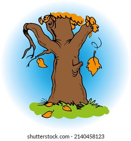 Trunk of a deciduous tree