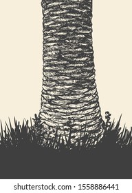 The trunk of a large palm tree. Hand Drawn Vector Illustration