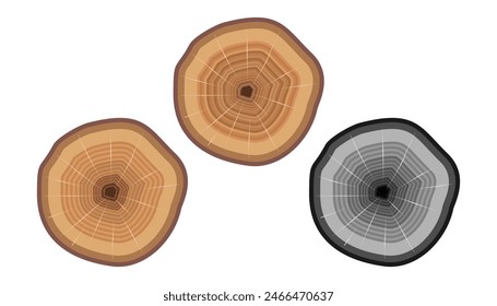 trunk slice cut from the woods. Cross section of a cut wood tree with wavy pattern cracks and rings. vector illustration isolated on white background.