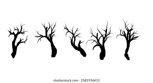 Trunk Tree Branch Silhouette, dead tree without leaves.