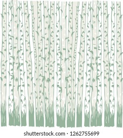 trunks of birch trees in the grove . vector illustration