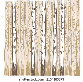 trunks of birch trees in the grove. vector illustration