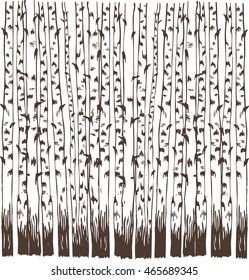 trunks of birch trees in the grove. vector illustration