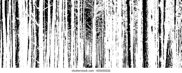 The trunks of the trees. forest background. Vector