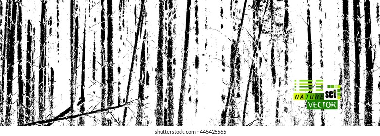 The trunks of the trees. forest background. Vector