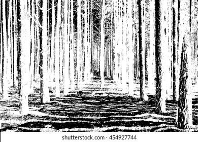 The trunks of the trees. forest background. Vector