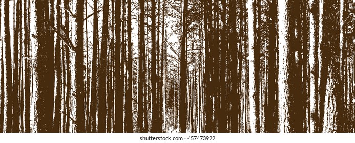 The trunks of the trees. forest background. Vector