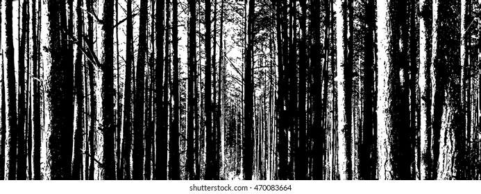 The trunks of the trees. forest background. Vector svg