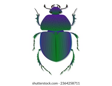 Trypocopris Vernalis Green Beetle Vector Art Isolated on White Background svg