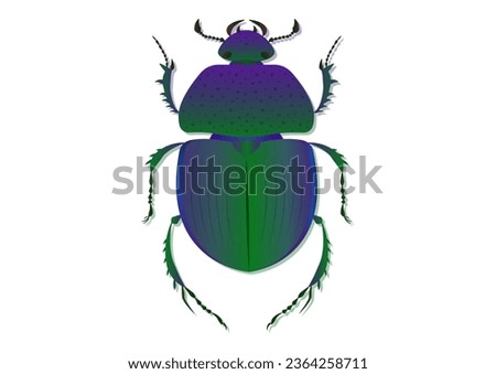 Trypocopris Vernalis Green Beetle Vector Art Isolated on White Background