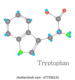 Tryptophan 3D molecule. Cartoon illustration of tryptophan 3D molecule vector for web design