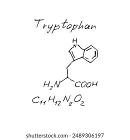 Tryptophan C11H12N2O2 molecule formula. Hand drawn imitation of tryptophan structural model, chemistry skeletal formula, sketchy vector symbol