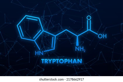 Tryptophan formula. Tryptophan or l-tryptophan, Trp, W amino acid molecule