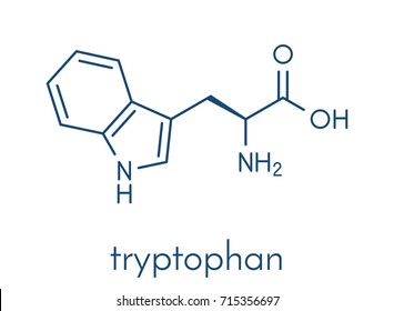 Tryptophan (l-tryptophan, Trp, W) amino acid molecule. Skeletal formula.