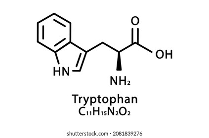 Tryptophan molecular structure. Tryptophan skeletal chemical formula. Chemical molecular formula vector illustration