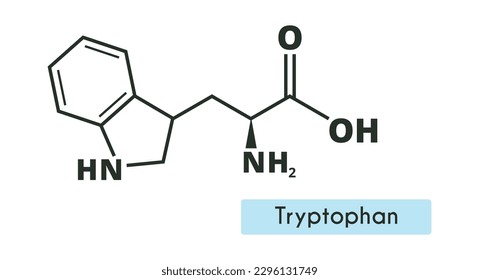 Tryptophan Molecule Structure. (l-tryptophan, Trp, W) Skeletal formula. Amino acid.