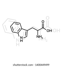 Tryptophan vector icon on white background