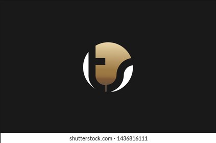 TS company linked letter logo