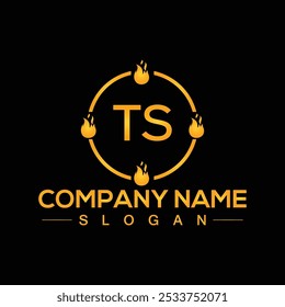 TS creative logo design for company branding