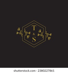 TS elegant wedding initial logo in high quality professional design that will print well across any print media
