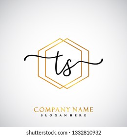TS Initial Handwriting logo template vector