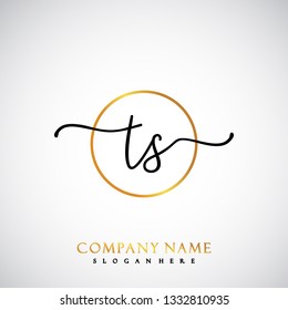 TS Initial Handwriting logo template vector