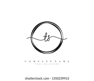 TS initial handwriting logo template vector