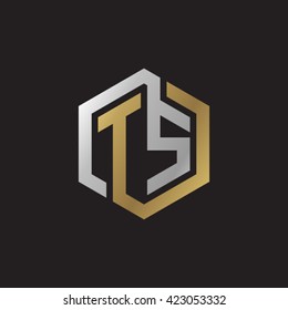 TS initial letters looping linked hexagon elegant logo golden silver black background