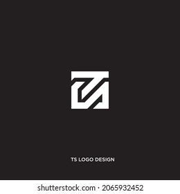 VECTOR INICIAL DE DISEÑO DE LOGOTIPO TS