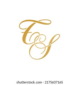 TS initial logo design vector stock