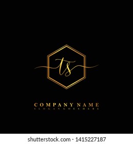TS Initial luxury handwriting logo vector