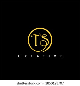 Ilustración vectorial de la plantilla de diseño del logotipo inicial de la carta TS
