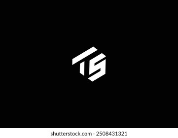 Diseño inicial del logotipo de la letra de TS y diseño moderno del logotipo