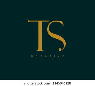 TS Letter Linked Luxury Premium Logo