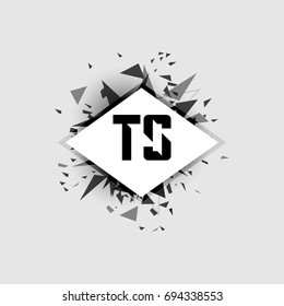 TS Logo