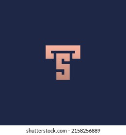 TS monogram logo with gold color.