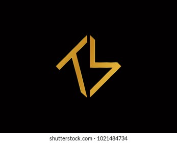 TS square shape Gold color logo