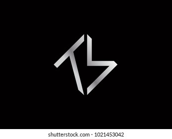 TS square shape silver color logo
